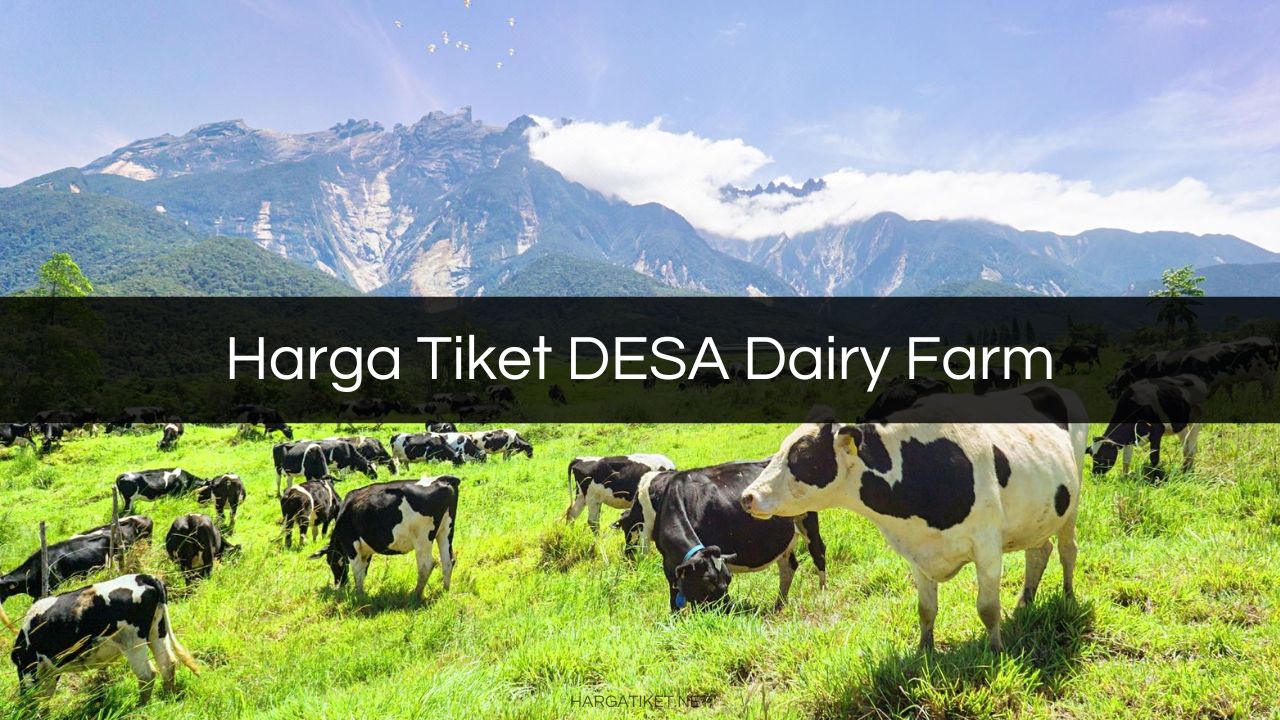 Harga Tiket Desa Dairy Farm