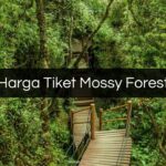 Harga Tiket Mossy Forest