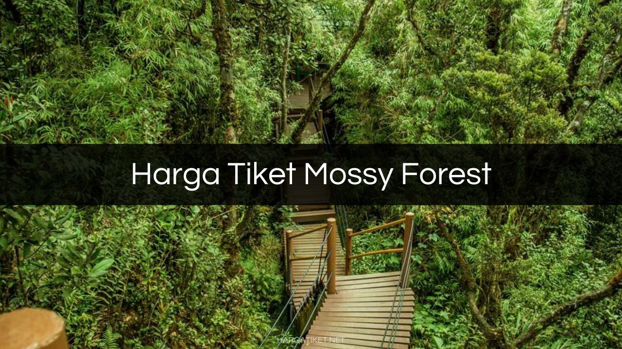 Harga Tiket Mossy Forest