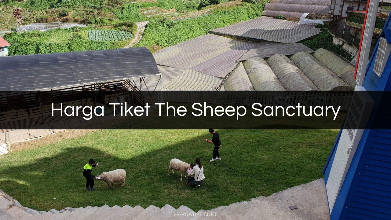 Harga Tiket The Sheep Sanctuary