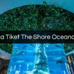 Harga Tiket The Shore Oceanarium