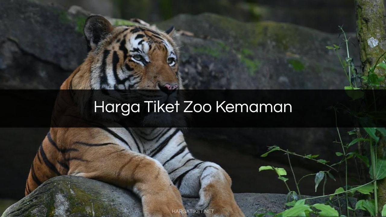 Harga Tiket Zoo Kemaman