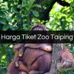 Harga Tiket Zoo Taiping