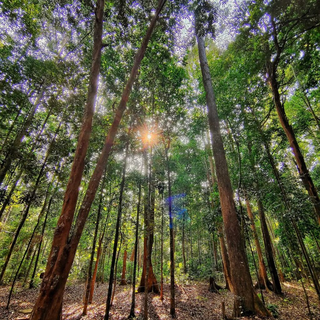 Kemudahan Taman Botani Melaka