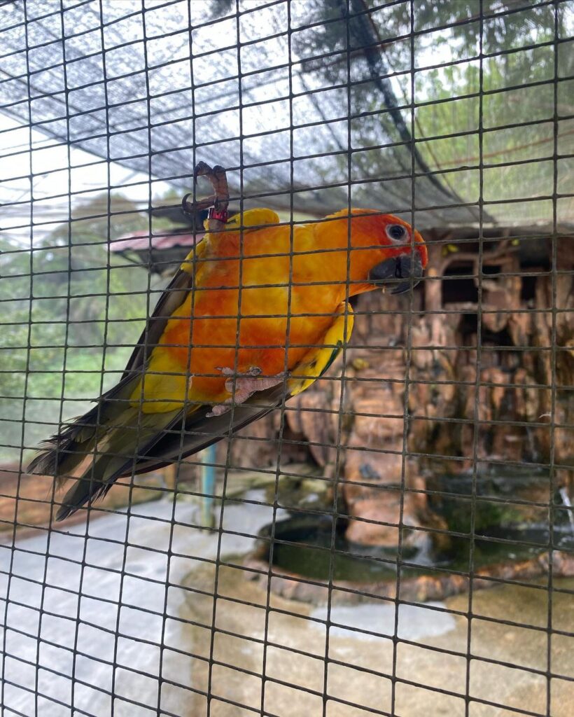 Kemudahan di Taman Burung Kuala Lumpur
