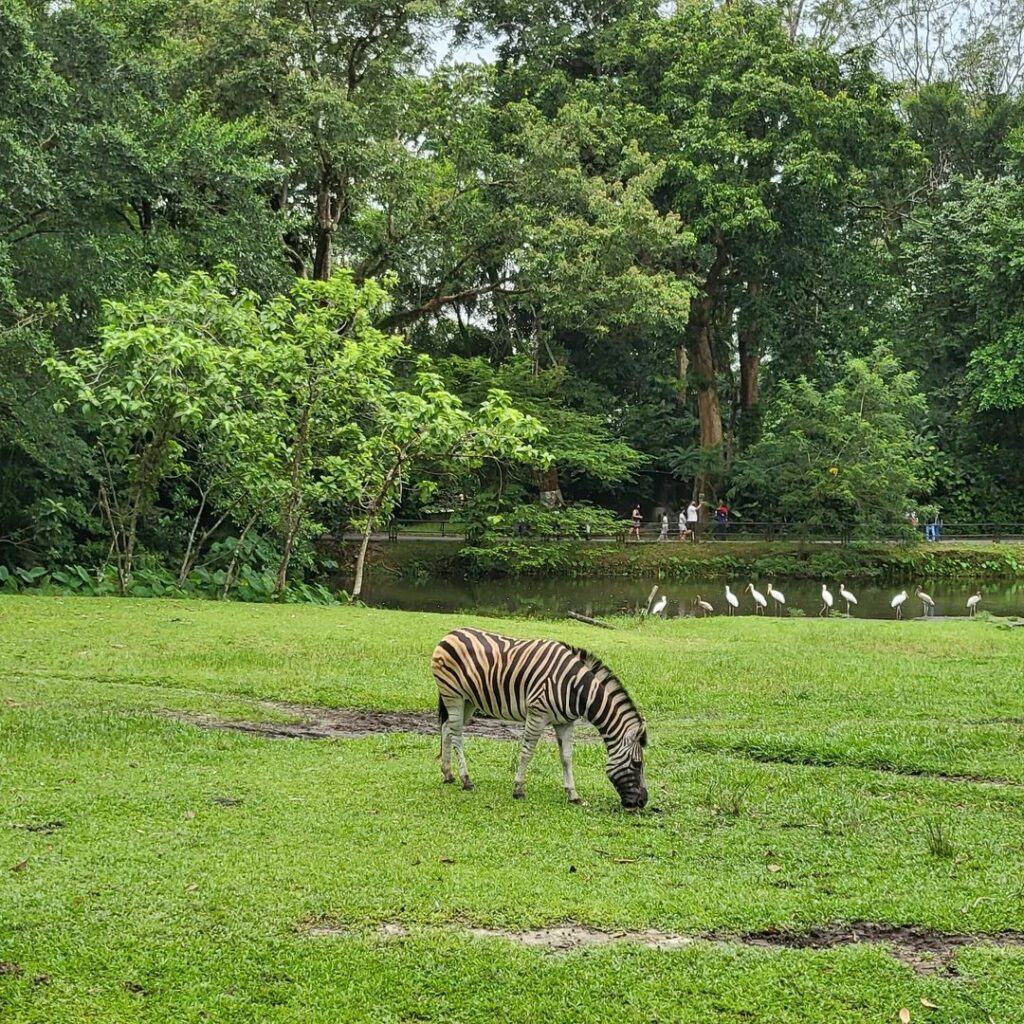 Kemudahan di Zoo Taiping
