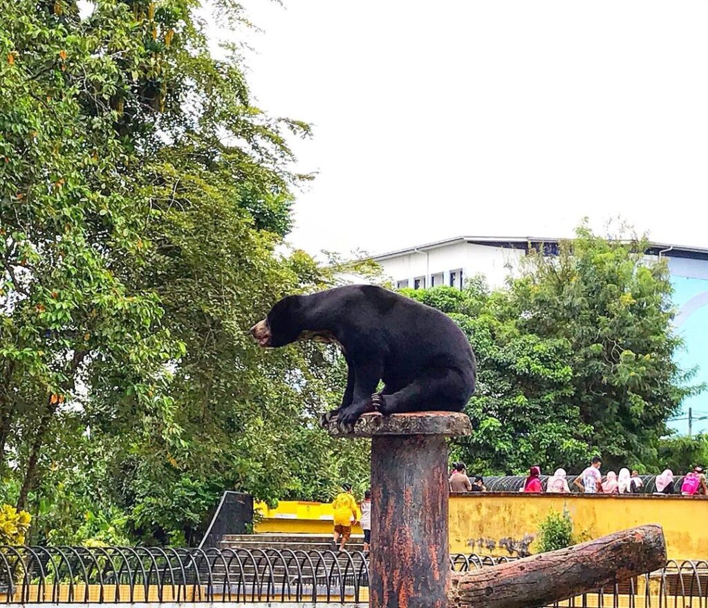 Lokasi dan Alamat Zoo Johor