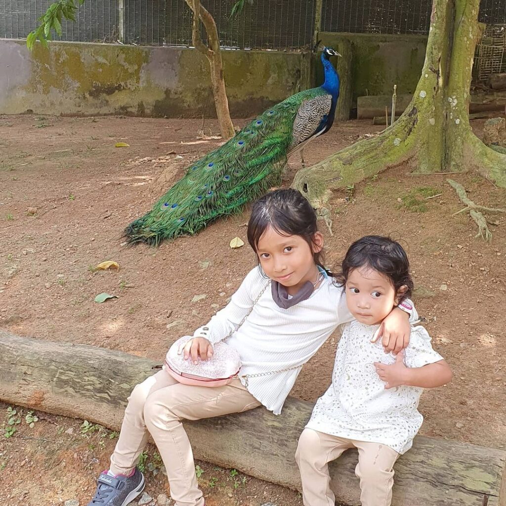 Tarikan di Taman Burung Melaka
