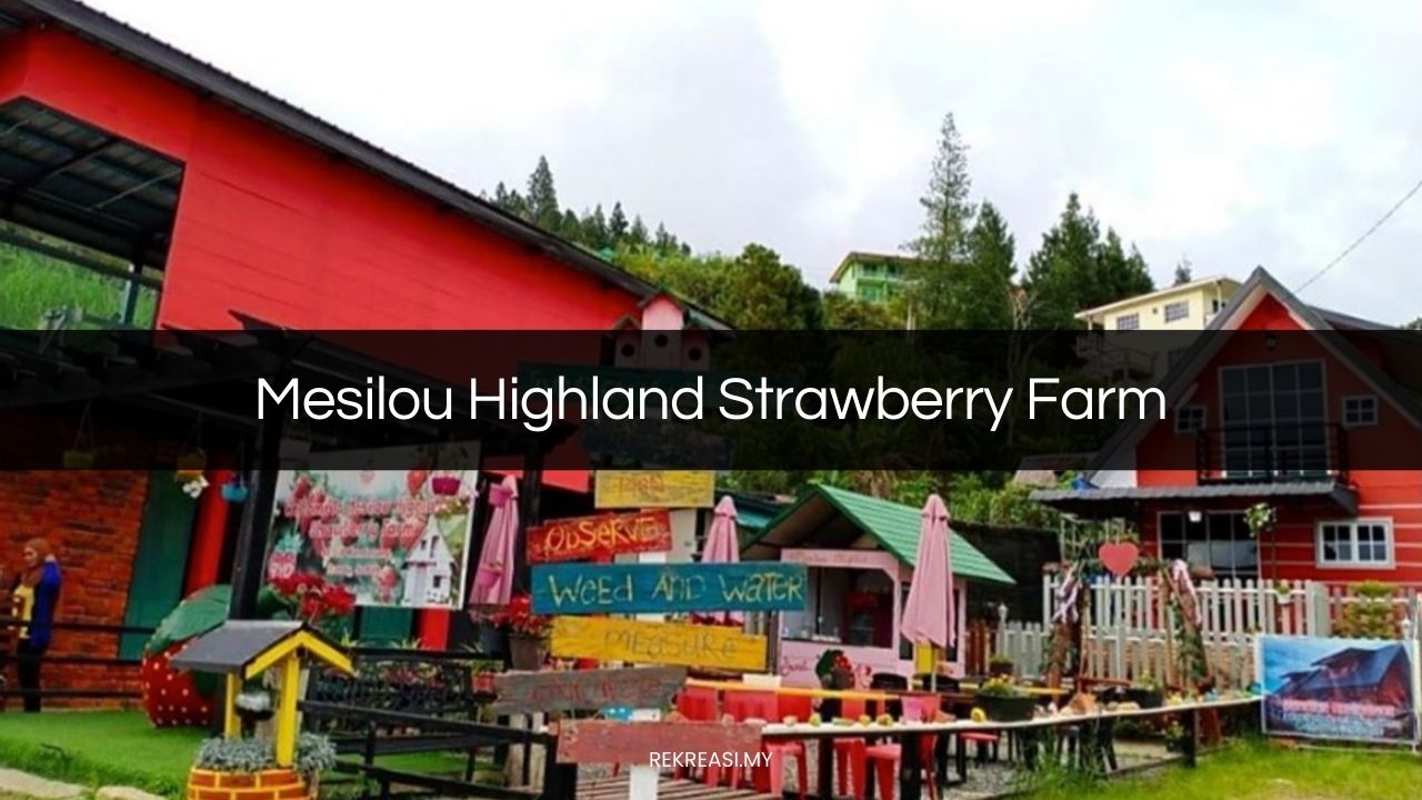 Mesilou Highland Strawberry Farm