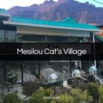 Mesilou Cat’s Village