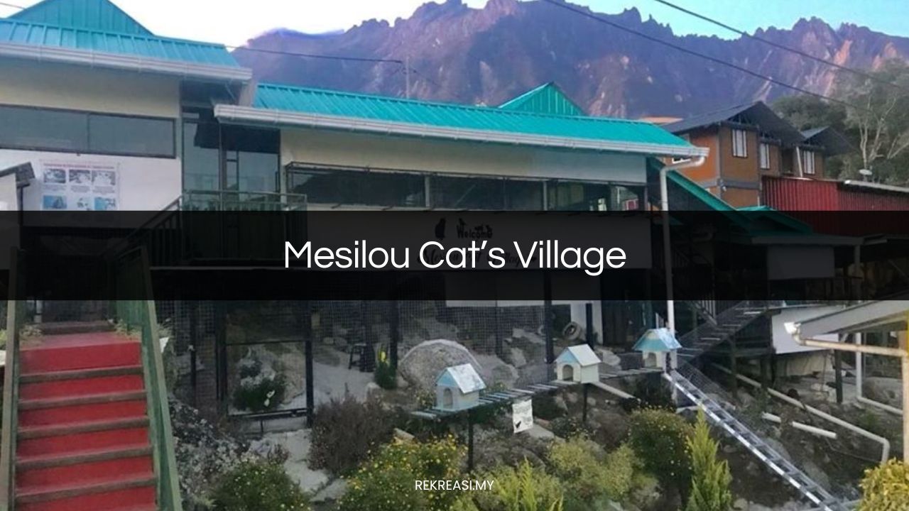 Mesilou Cat’s Village