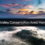 danum valley conservation area