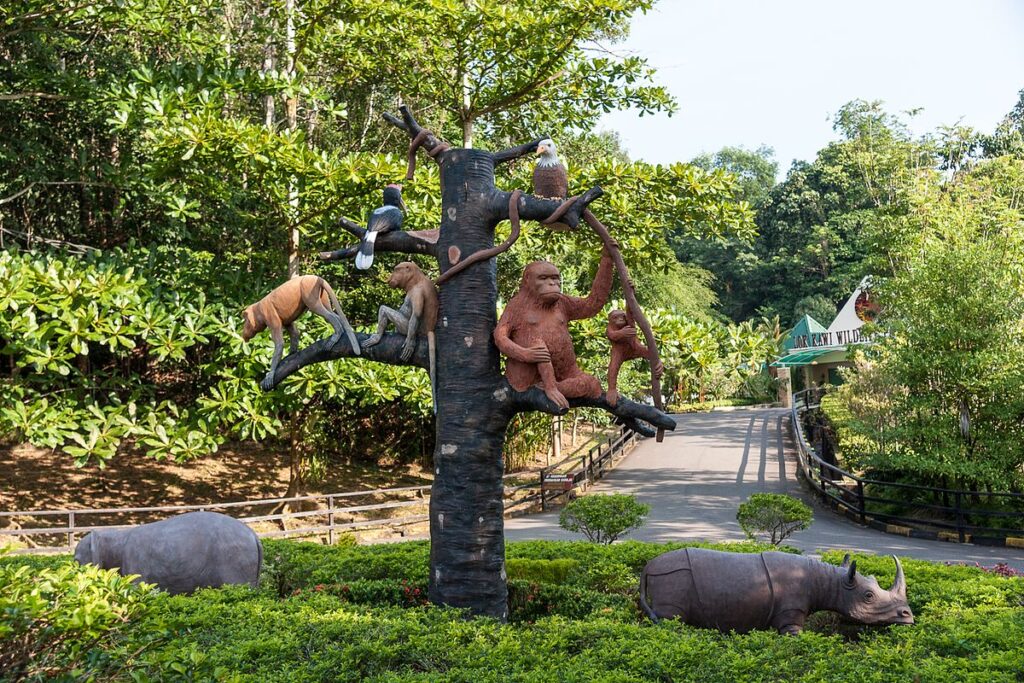tarikan lok kawi zoo