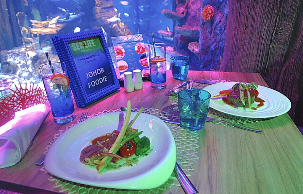 underwater dining sea life