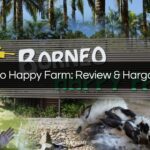 borneo happy farm
