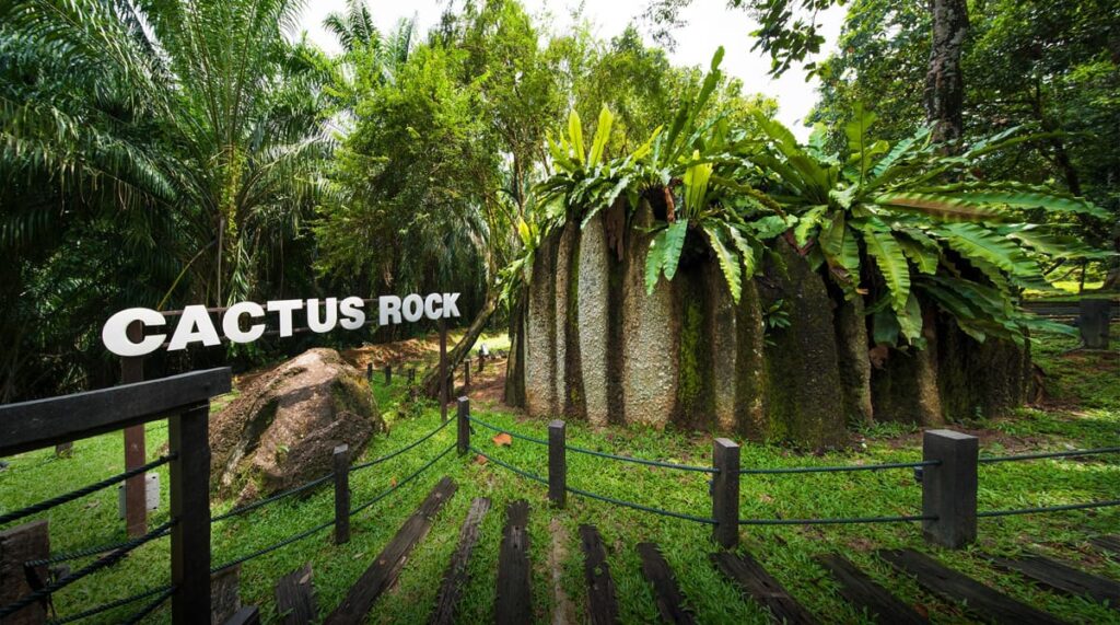 cactus rock spritzer eco park