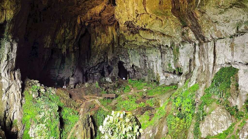 fairy cave flora dan fauna