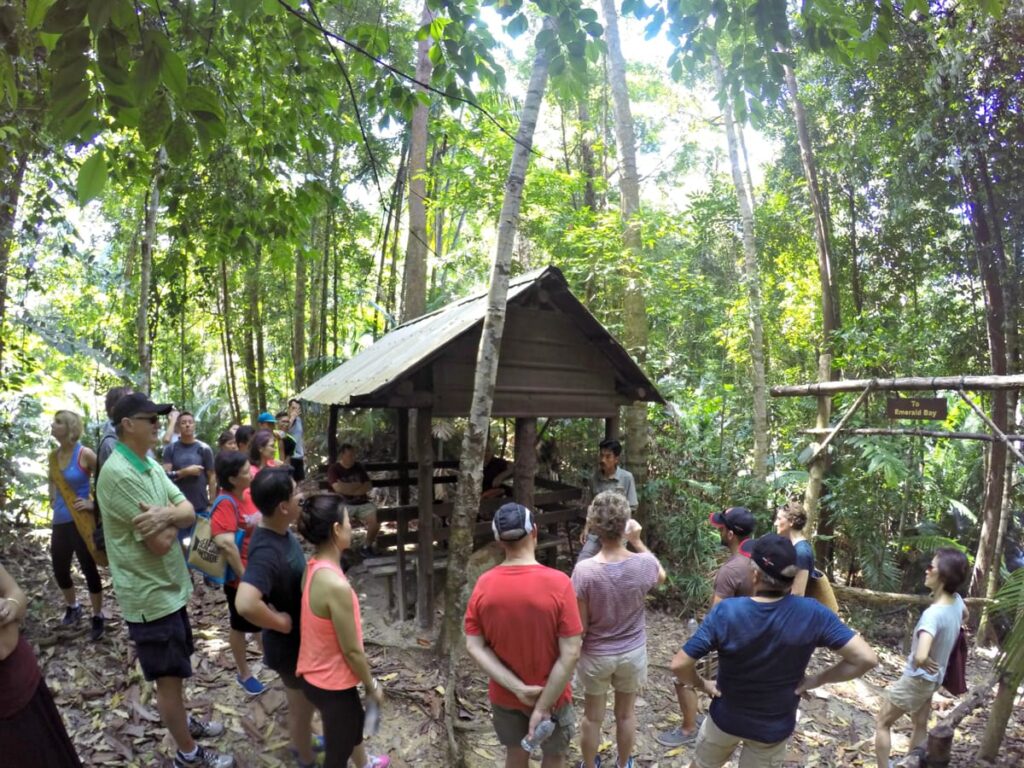 jungle trekking pulau pangkor