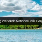 kuching wetlands national park