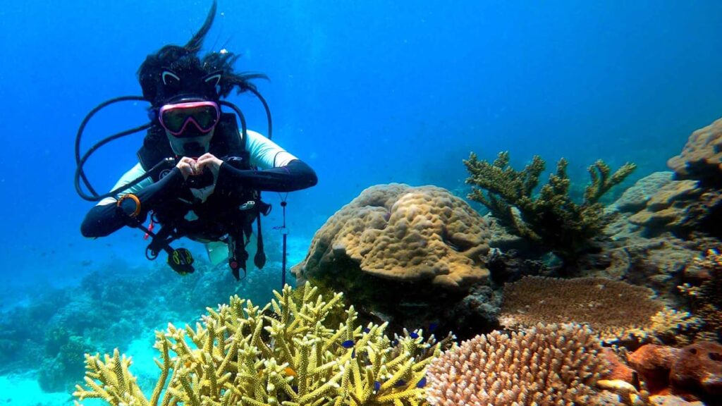 mataking reef coral
