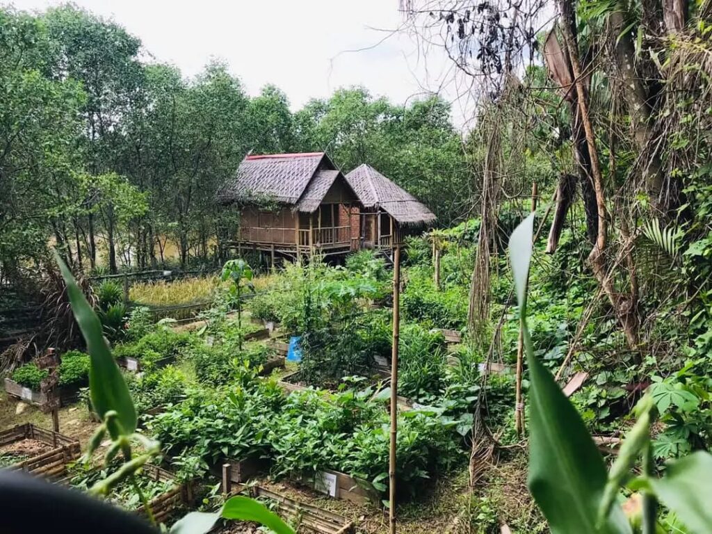 organic farm min house