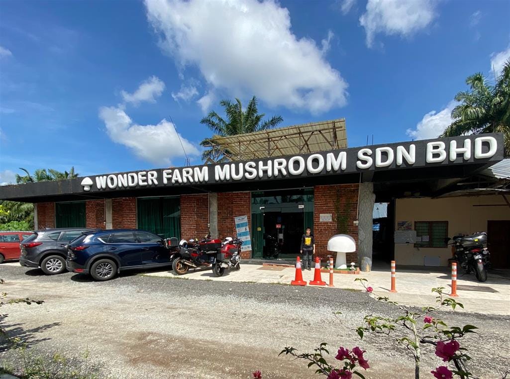wonder farm mushroom