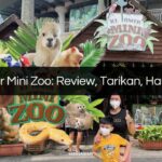 kl tower mini zoo