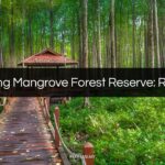 matang mangrove forest reserve