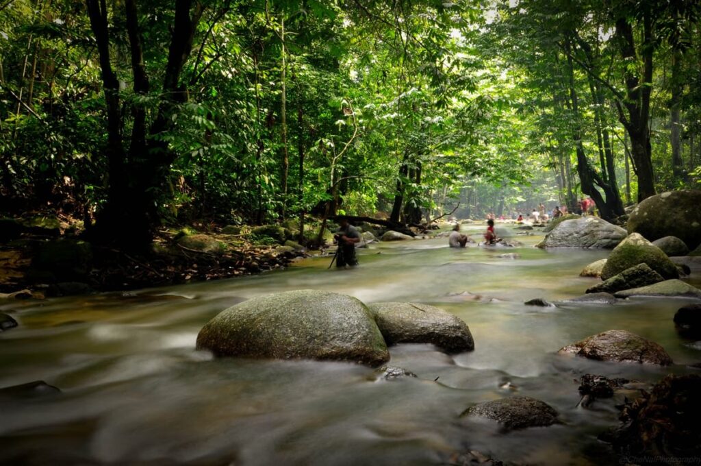 aktiviti hutan lipur sungai tua